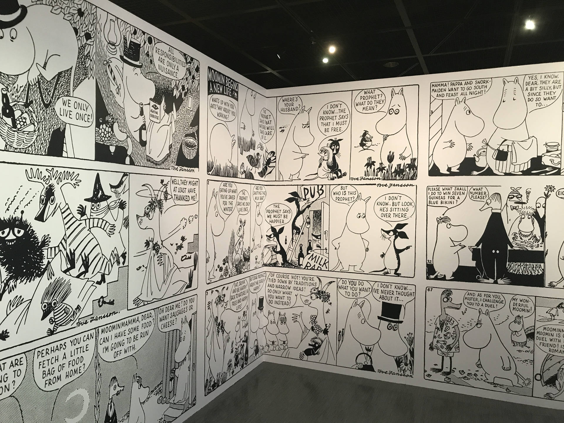Moomin Artwork Gallery Exhibition