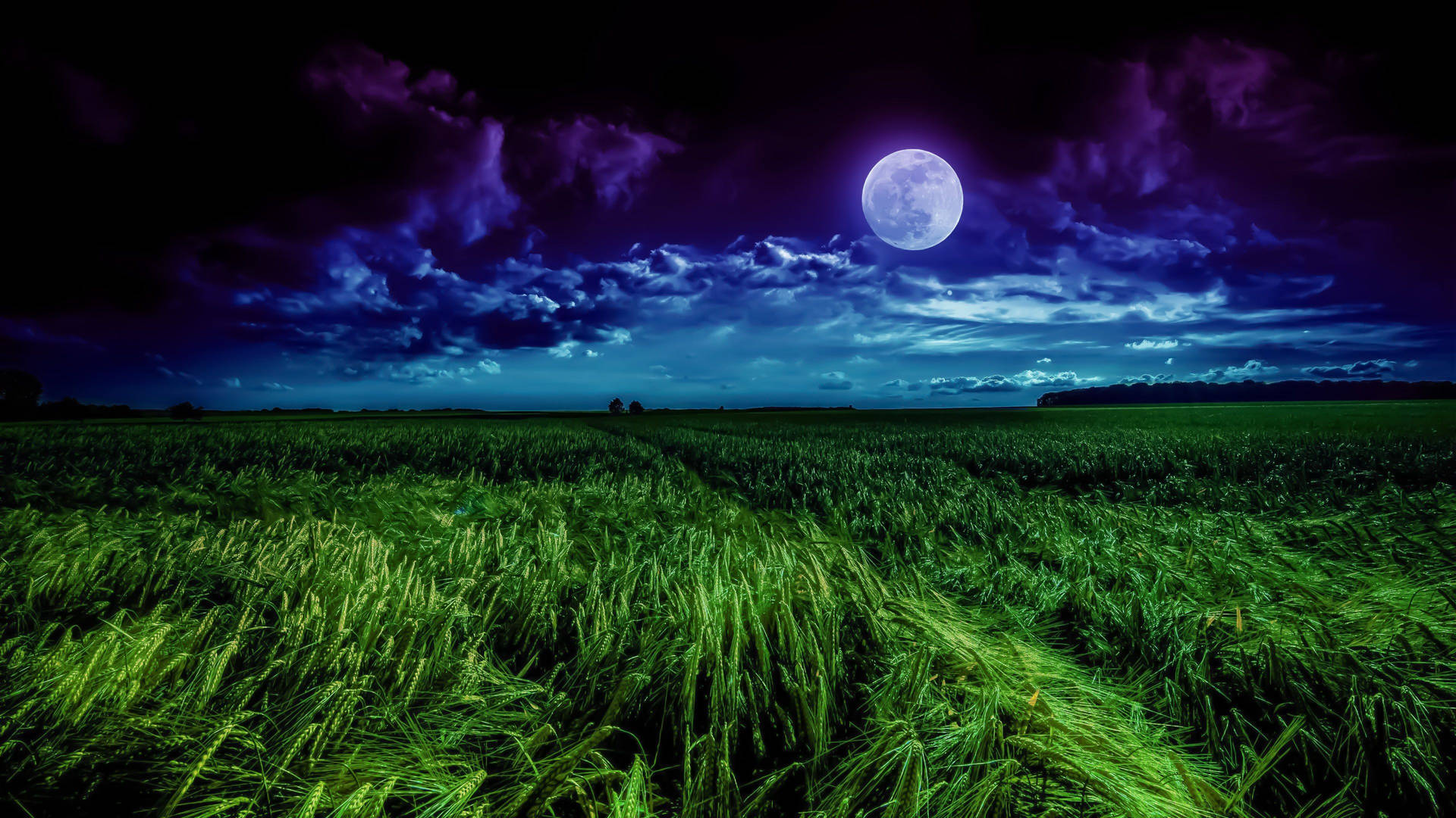 Moon 4k Blue Aesthetic Grass Field Background
