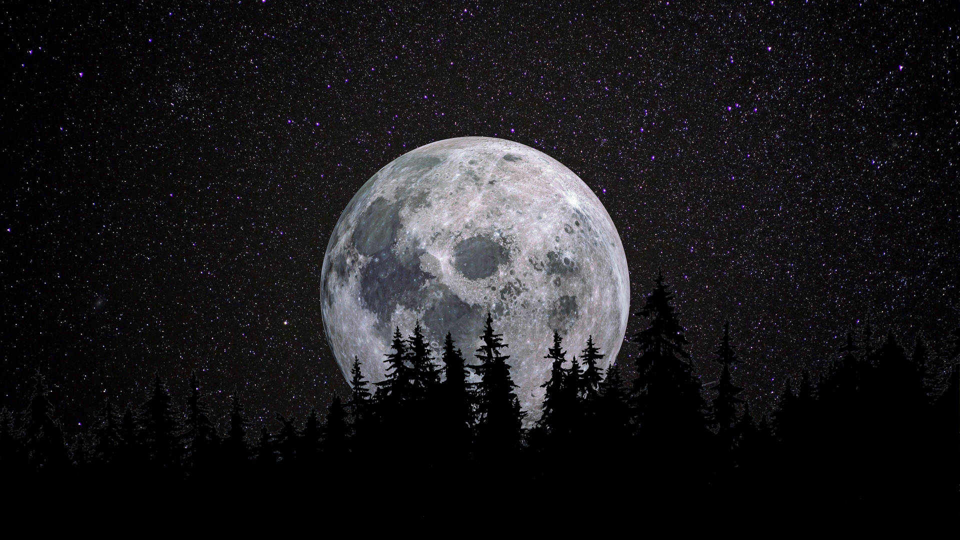 Moon 4k Full Moon Over Forest Background