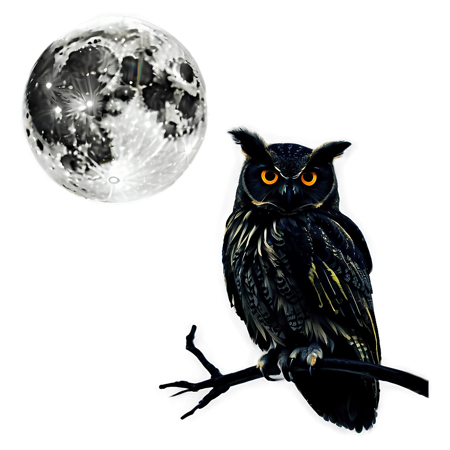 Moon And Owl Silhouette Png Ciy32 PNG