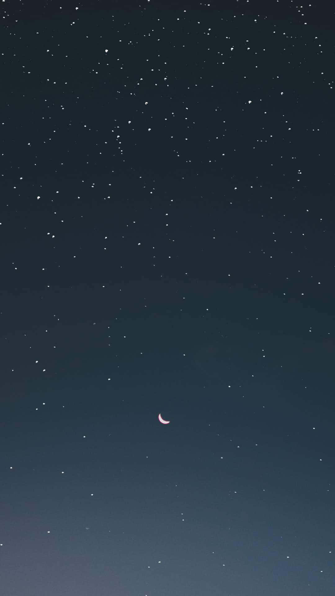 Looking up and discovering the moon and stars in all their beauty Wallpaper