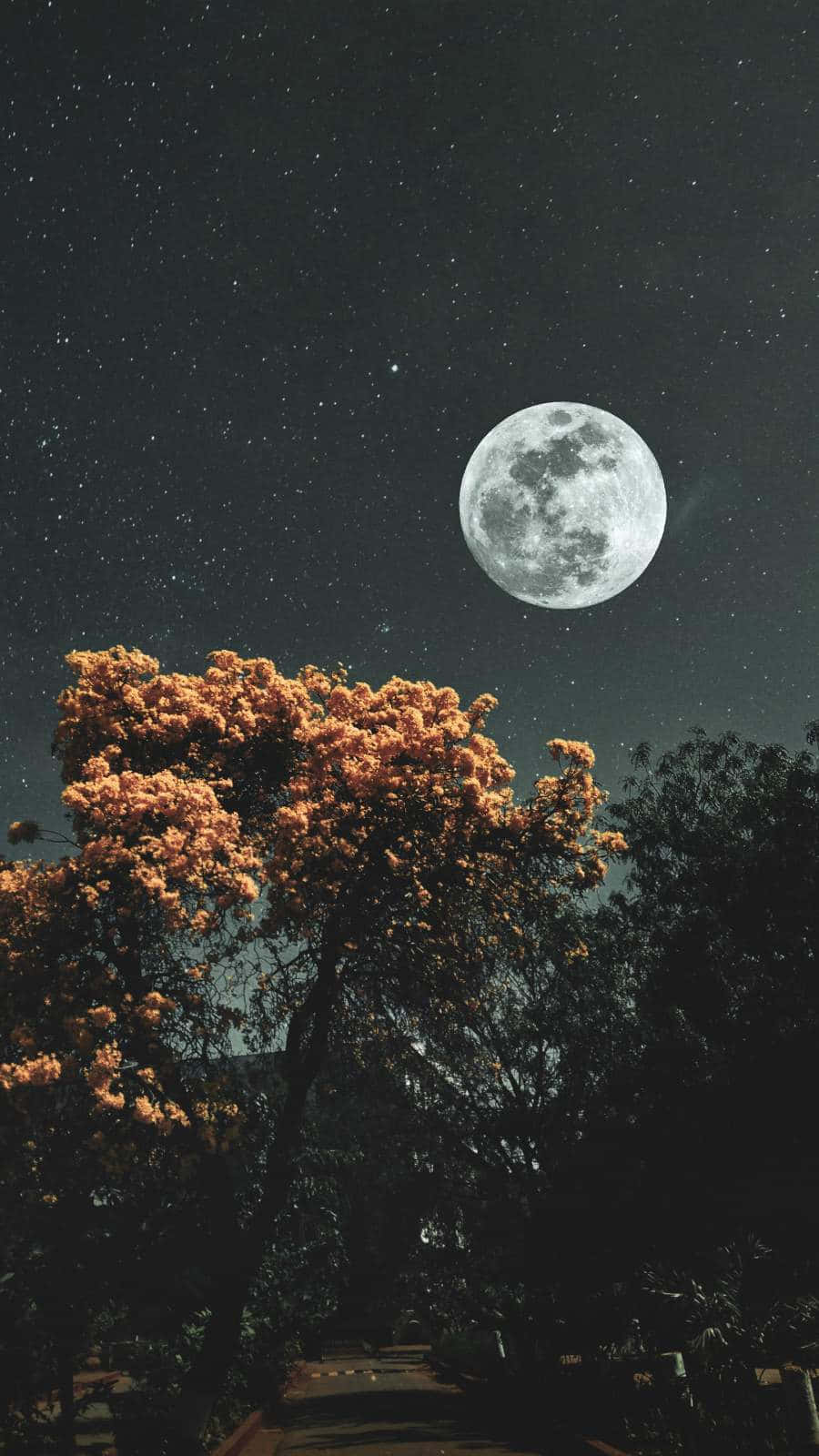 Iphonede La Luna Y Las Estrellas En El Cielo Nocturno Del Árbol. Fondo de pantalla