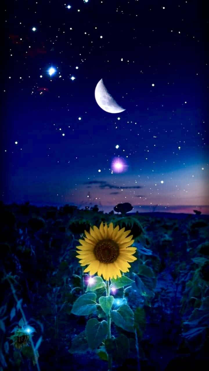 "A Beautiful Night Sky with a Moon and Stars that Shines Brightly" Wallpaper