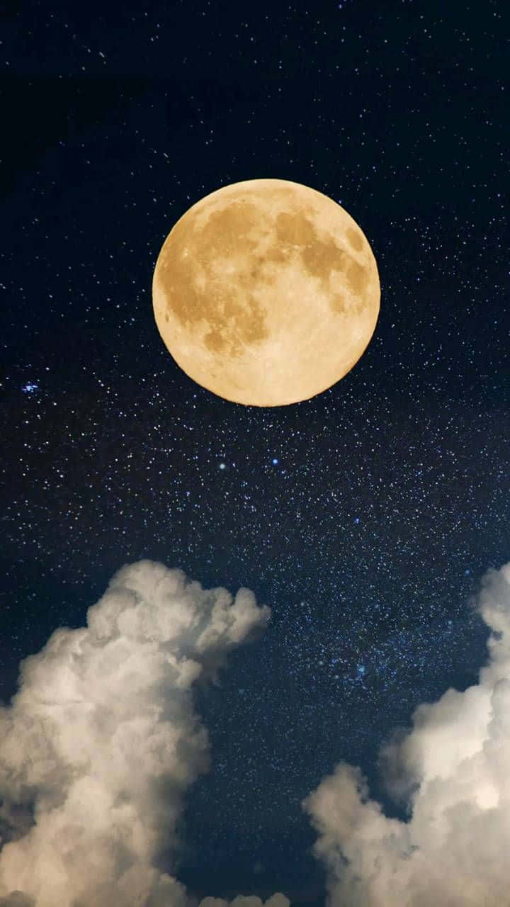 Look up and see the magical night sky Wallpaper