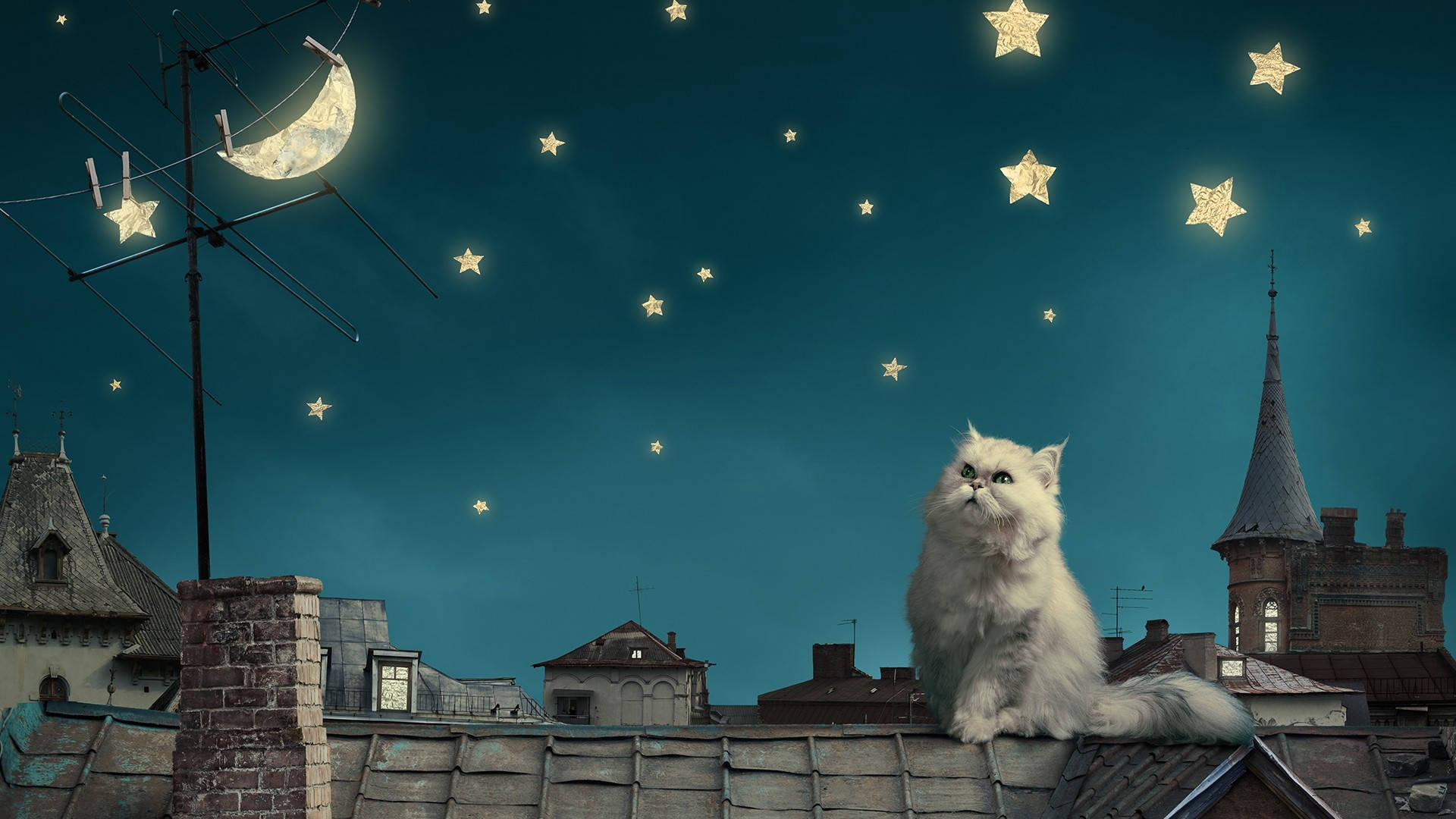 Moon And Stars Roof Cat Wallpaper