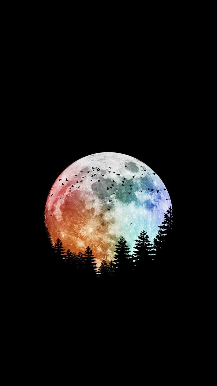 Nyd en månebesat aften med din iPhone. Wallpaper