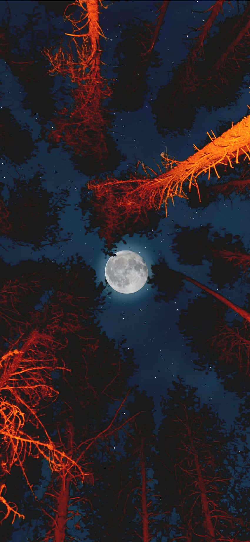 Nyd skønheden af de natlige himmel hvormed den nye Måne iPhone tapet. Wallpaper