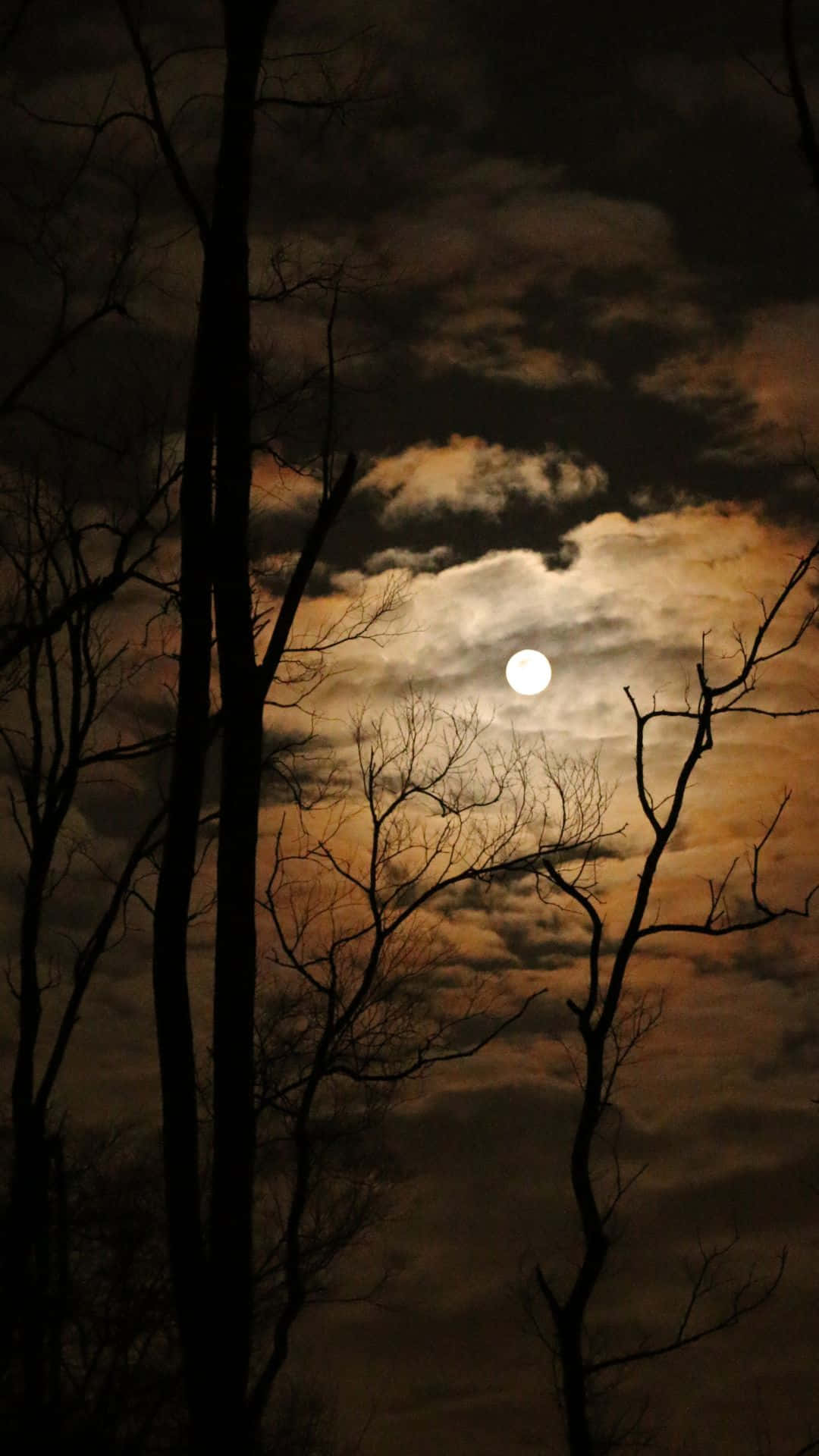 "The beauty of a full moon night" Wallpaper