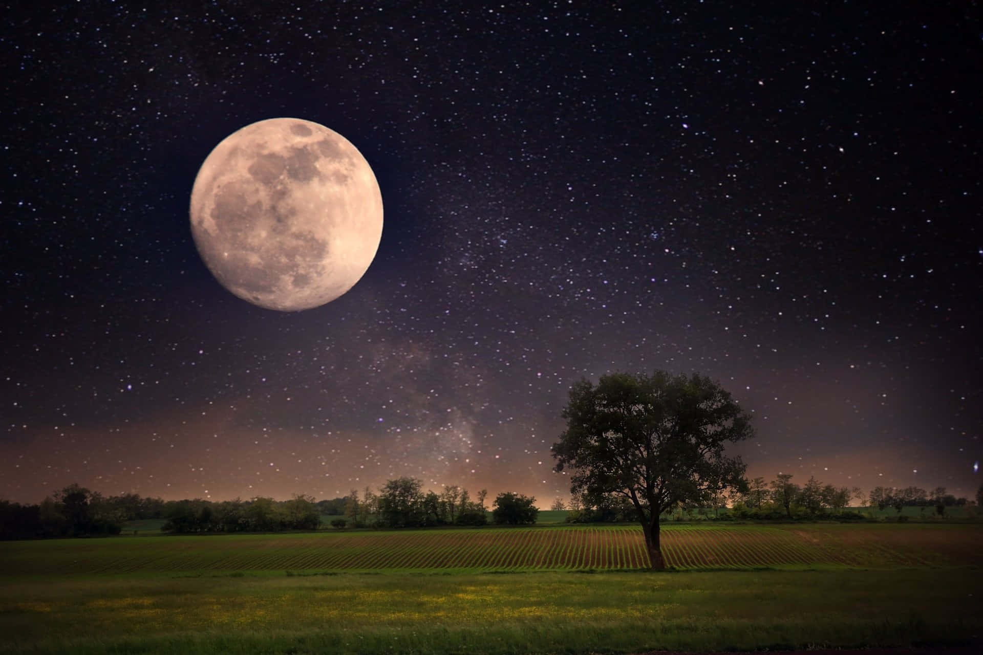 Take Some Time to Reflect in the Moonlit Night Wallpaper