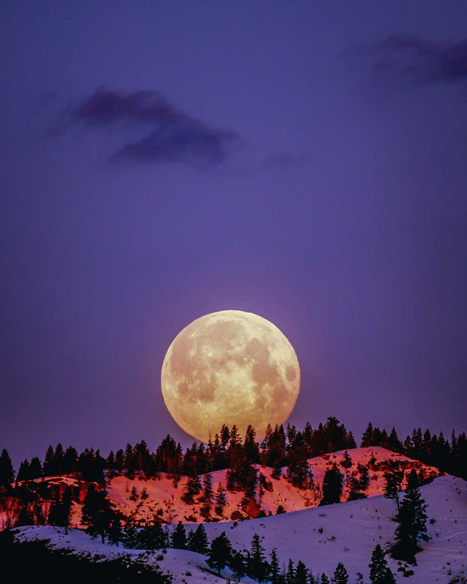 Bright moonlight illuminates the night sky Wallpaper