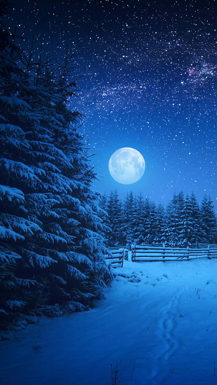 A Nighttime Scene with a Full Moon in all its Awe-inspiring Glory Wallpaper