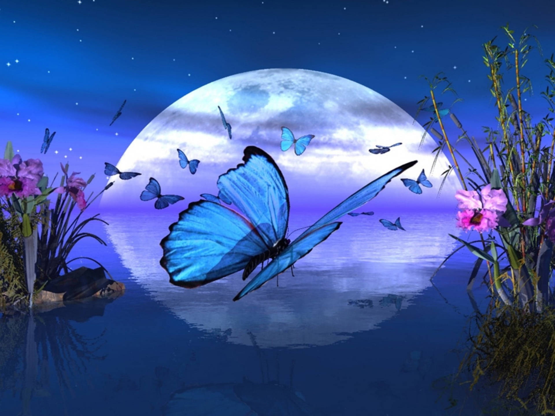 Песни бабочка ночь. Доброй ночи с бабочками красивые. Бабочка ночью. Лунная бабочка. Сладких снов бабочки.