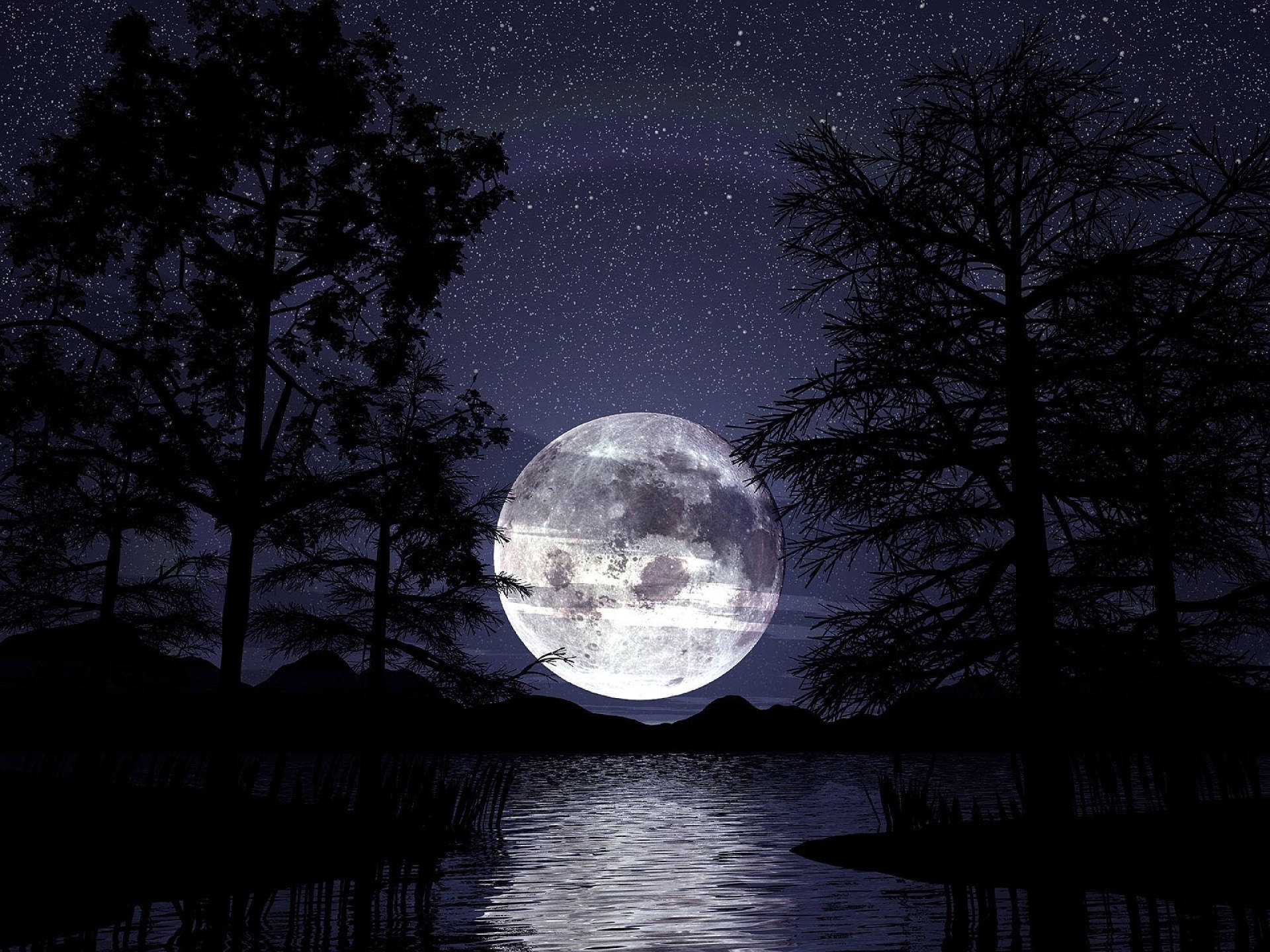 Moon Night Sky Dark Forest Wallpaper