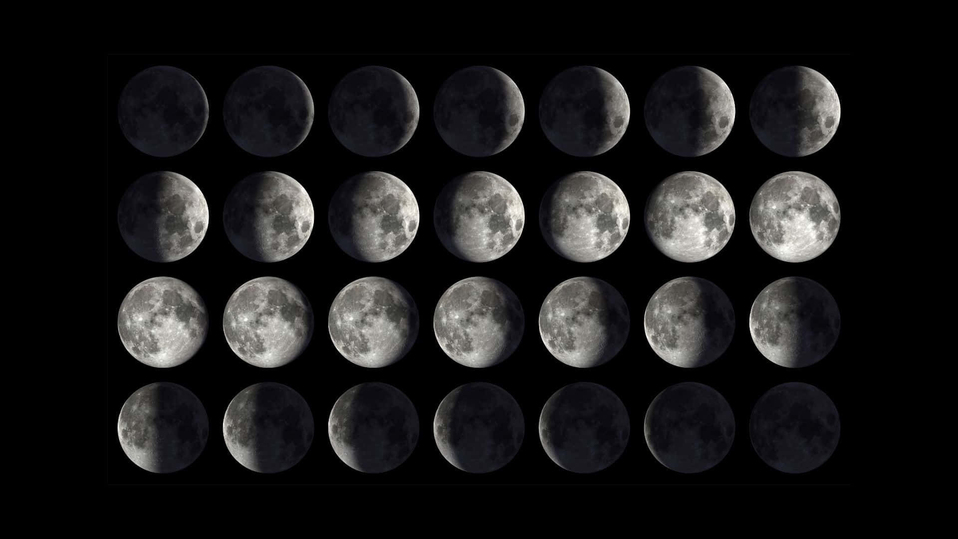 Moon Phase Wallpaper