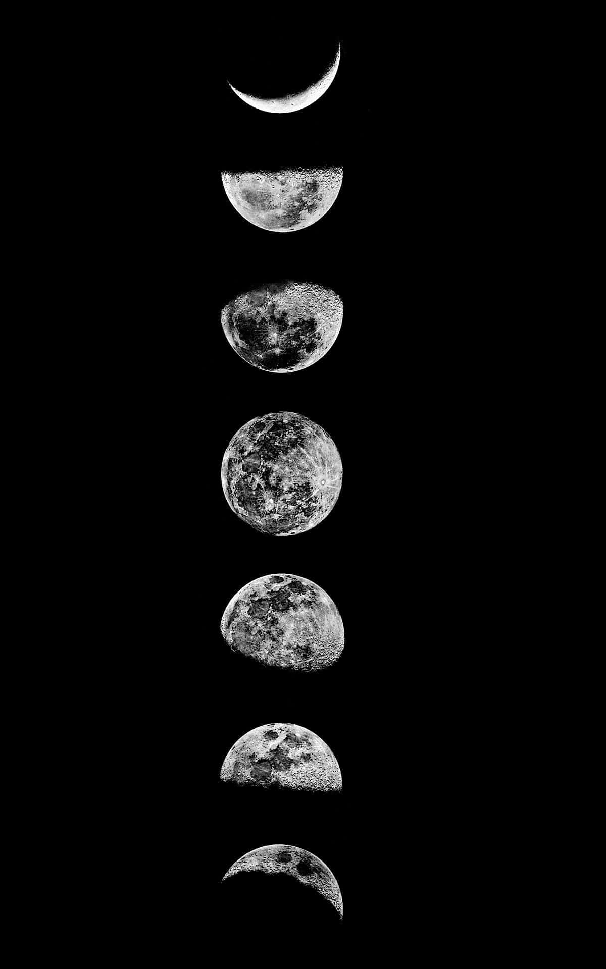 Stunning Moon Phases Collage