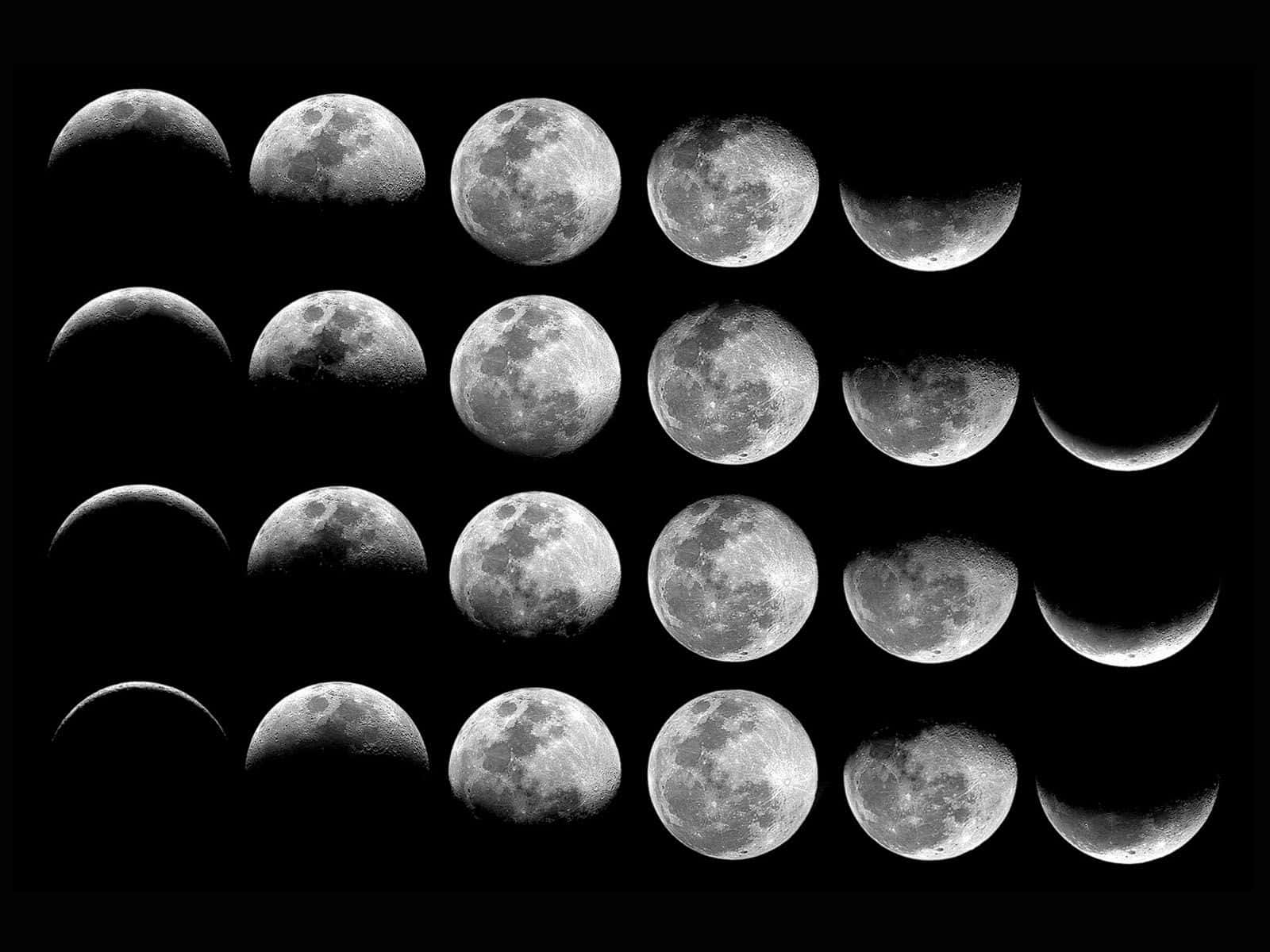 Beautiful Moon Phases in the Night Sky