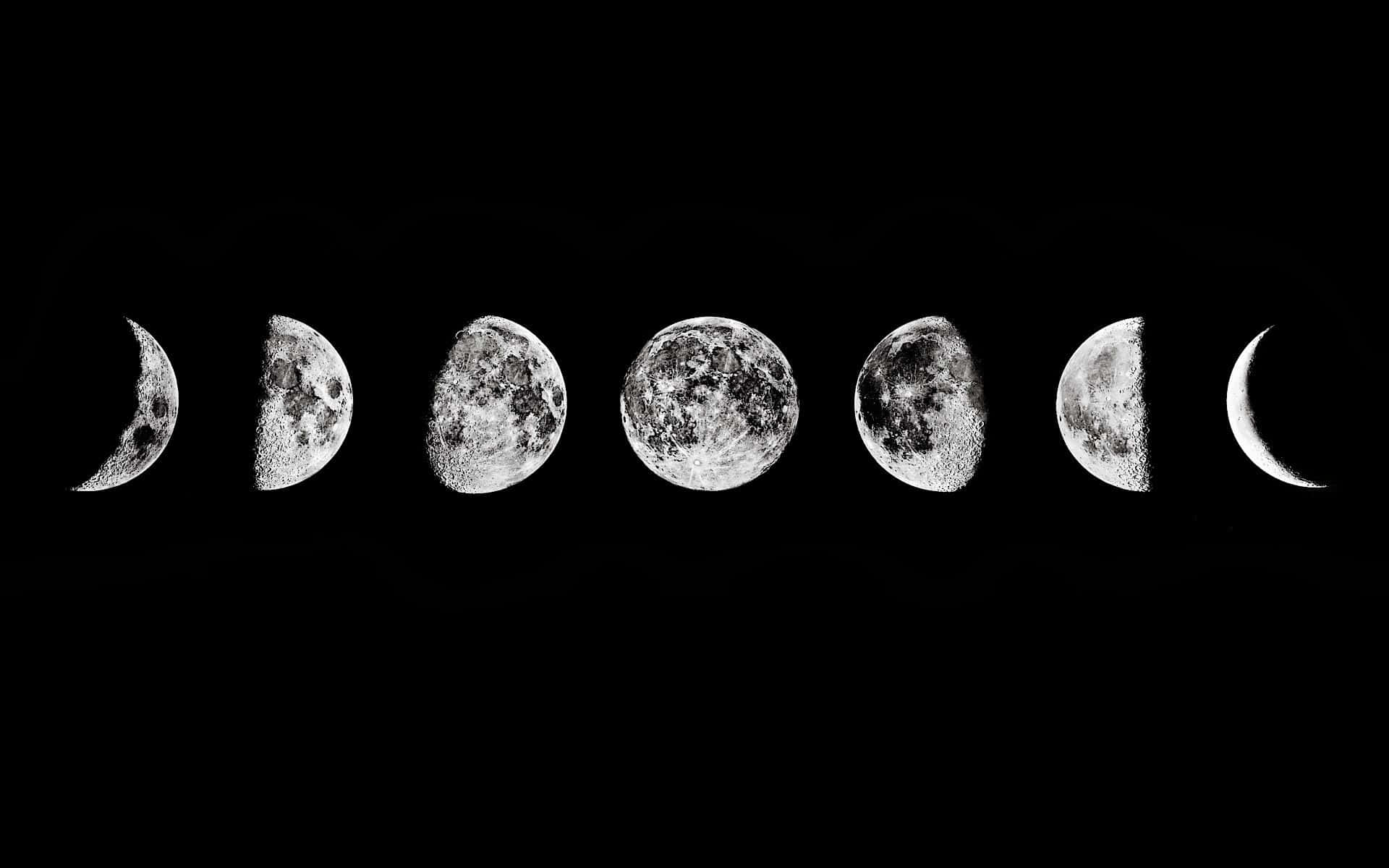 Graficodelle Fasi Della Luna: Dalla Luna Nuova Alla Luna Piena E Tutto Il Resto