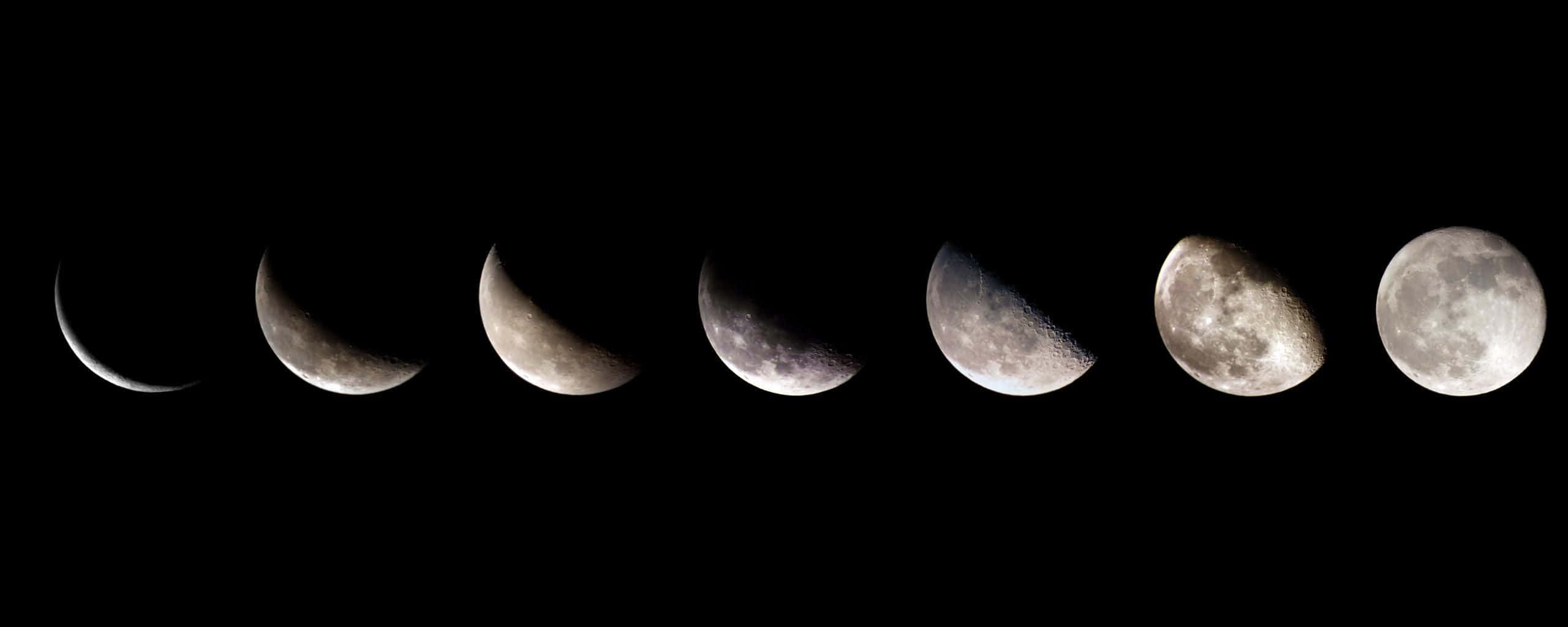 A Mesmerizing Display of Moon Phases
