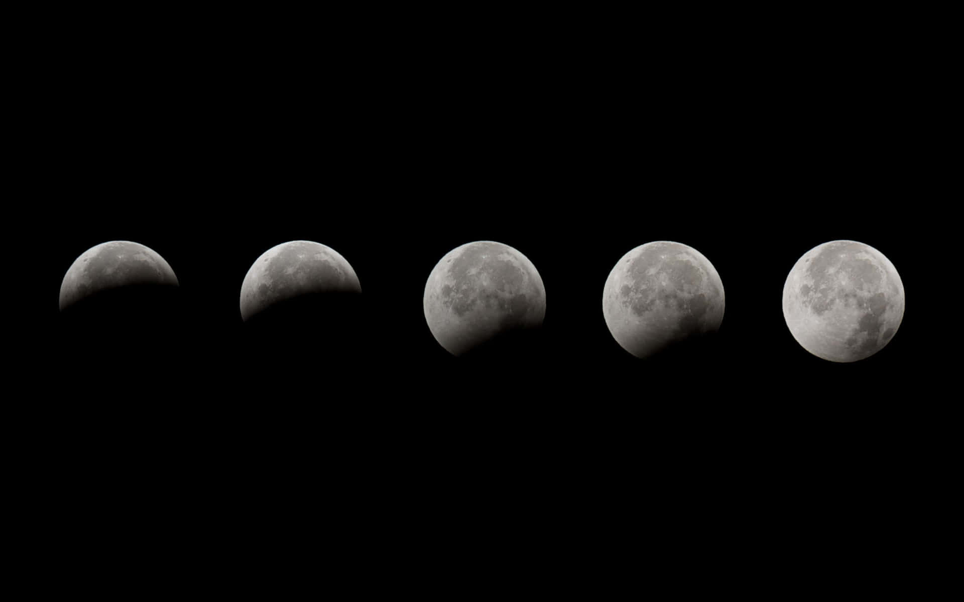 Tablade Fases Lunares: Una Imagen De Alta Calidad De Todas Las Fases De La Luna.