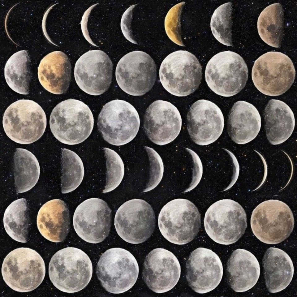 Stunning Moon Phases Poster