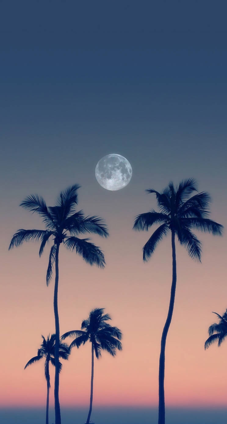 Moon Phone Palm Trees Wallpaper