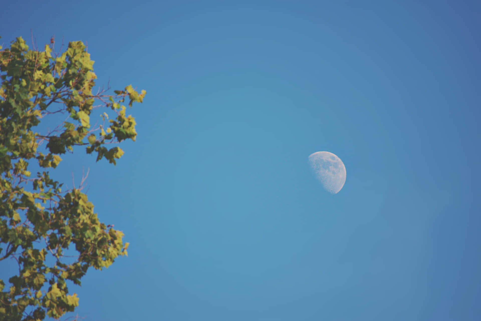 Immaginedi Un Cielo Azzurro Chiaro Con La Luna