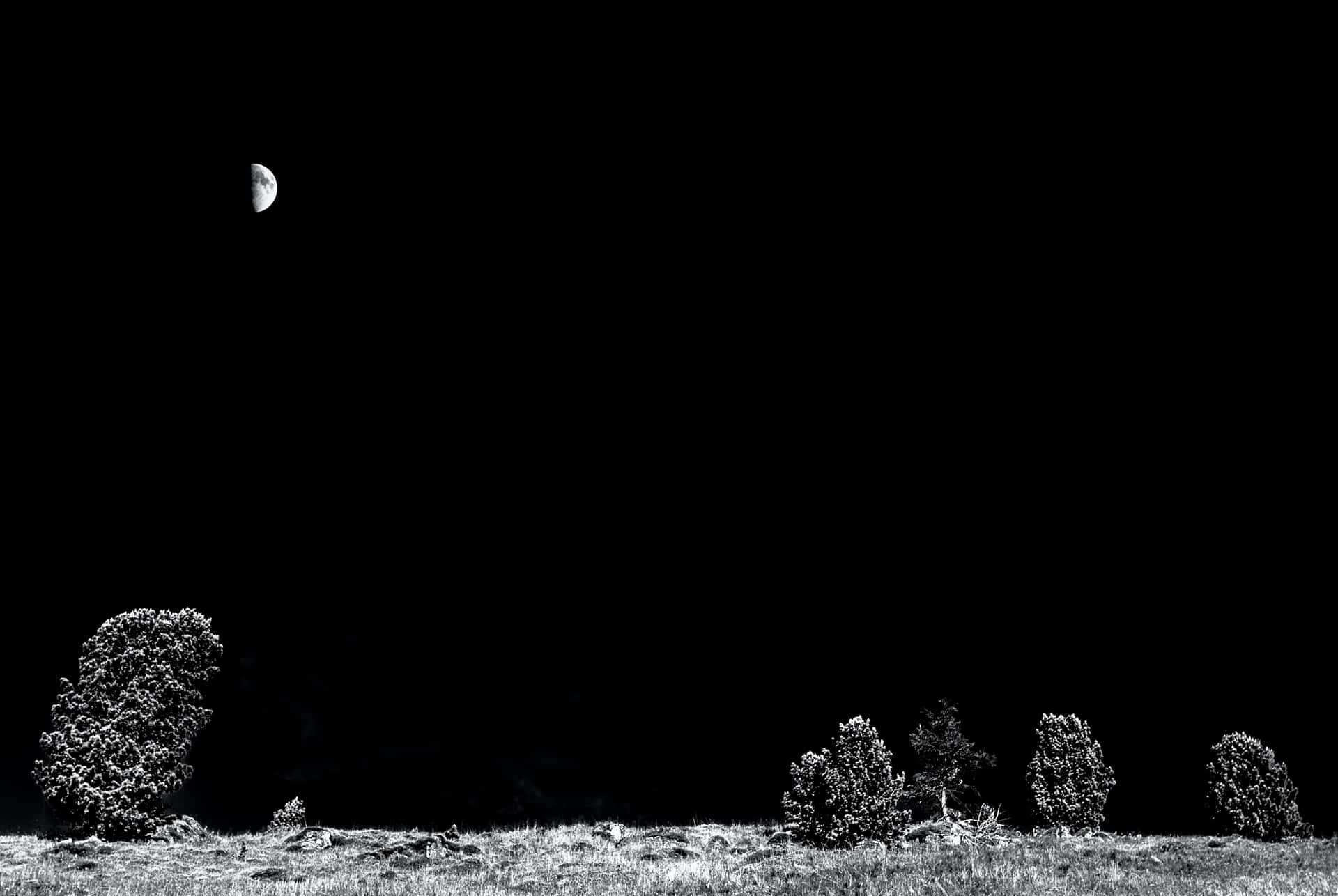 Black And White Half Moon Picture