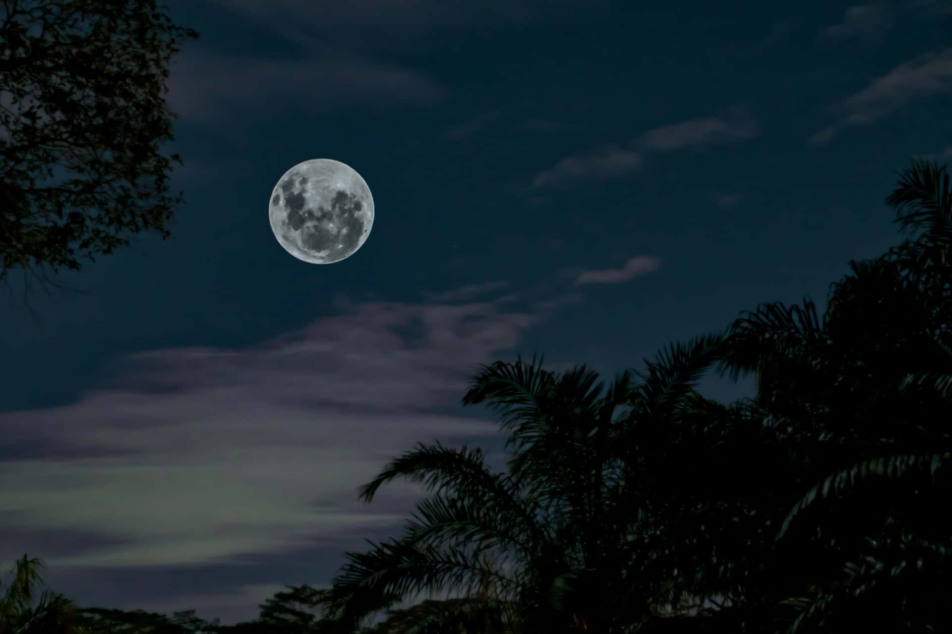 Imagende La Luna Llena Con Manchas Oscuras.