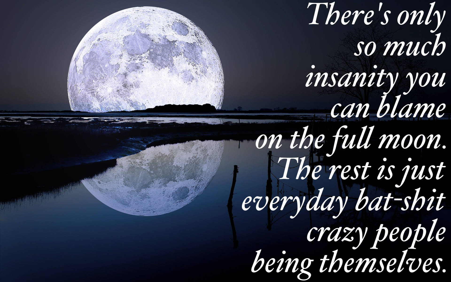 Moon Quotes Reflection