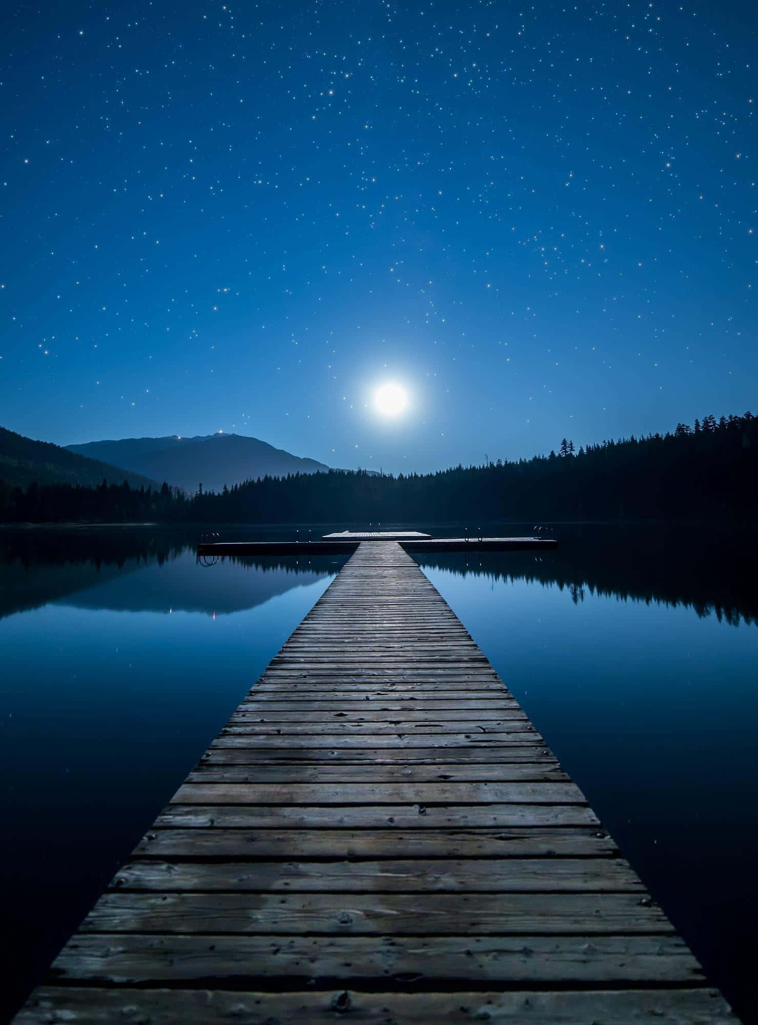 Enchanting Moonlit Night Over Calm Waters