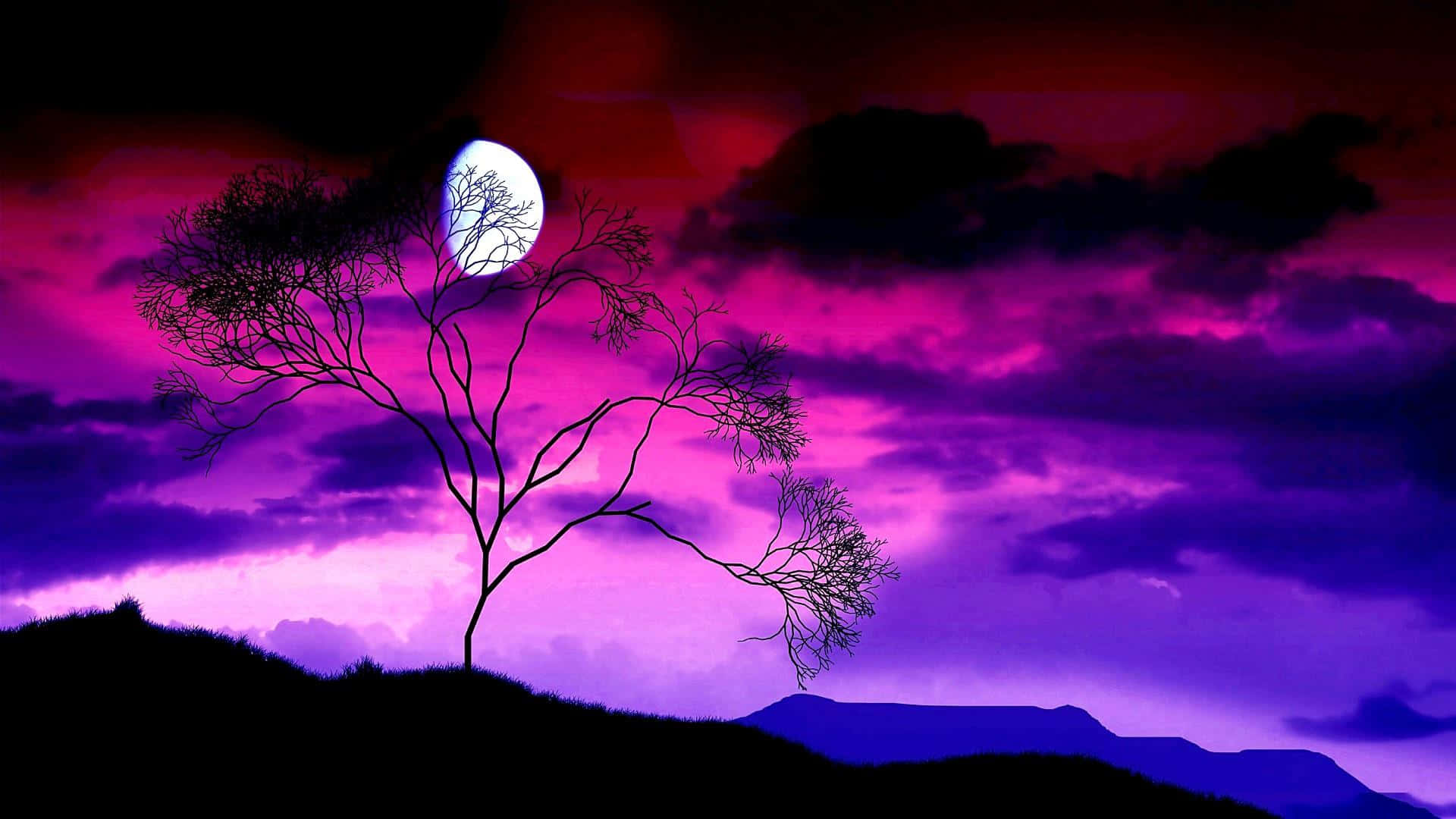 Serene Moonlit Night