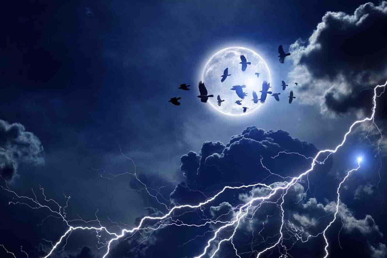 Moonlit Nightwith Lightningand Birds Wallpaper