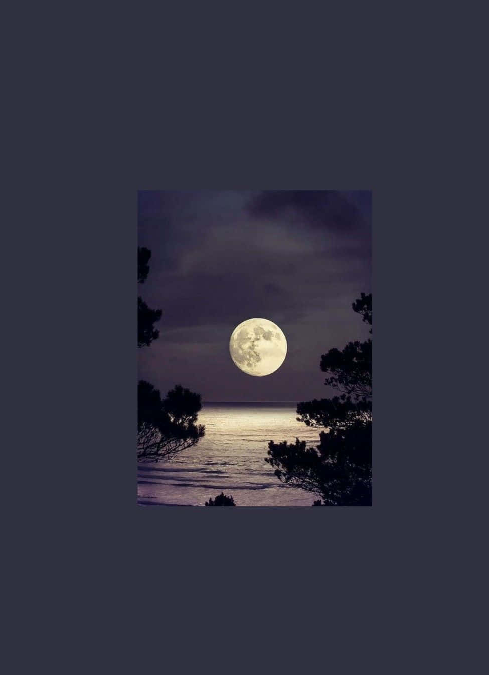 Moonlit Seascape Silhouette Wallpaper