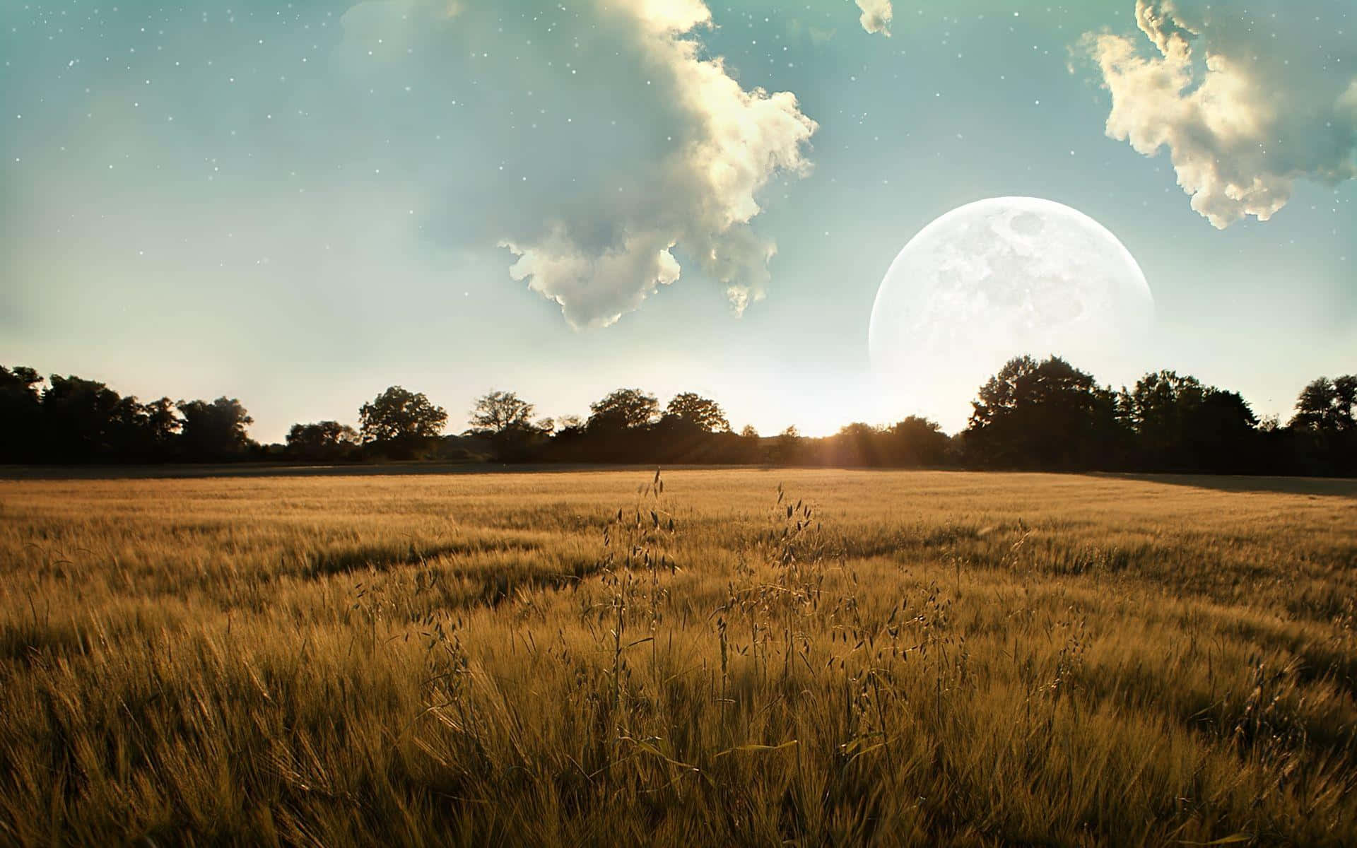 Moonlit_ Wheat_ Field_ Dreamscape.jpg Wallpaper