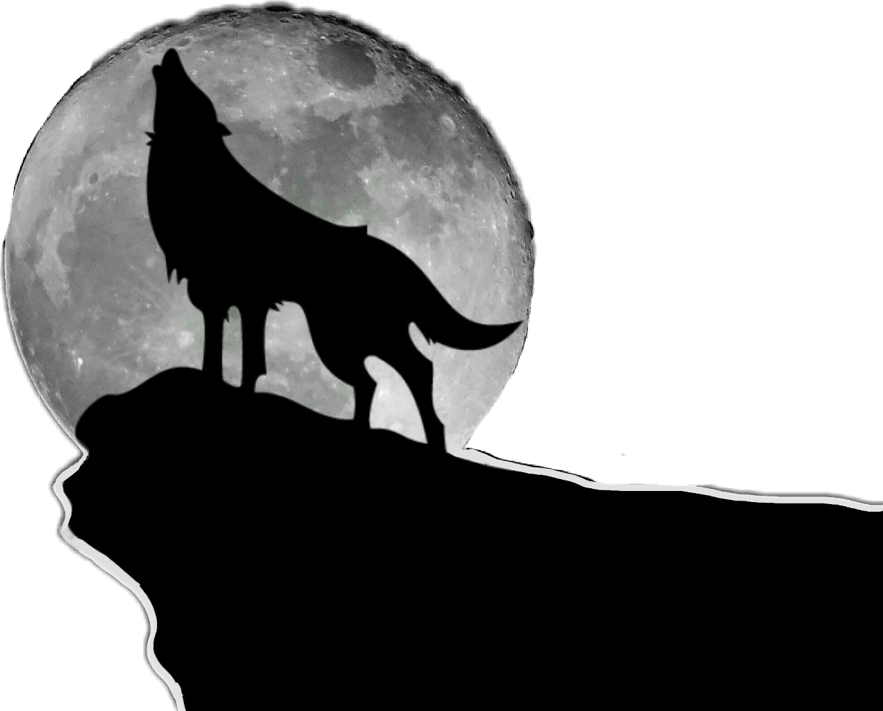 Moonlit Wolf Silhouette PNG