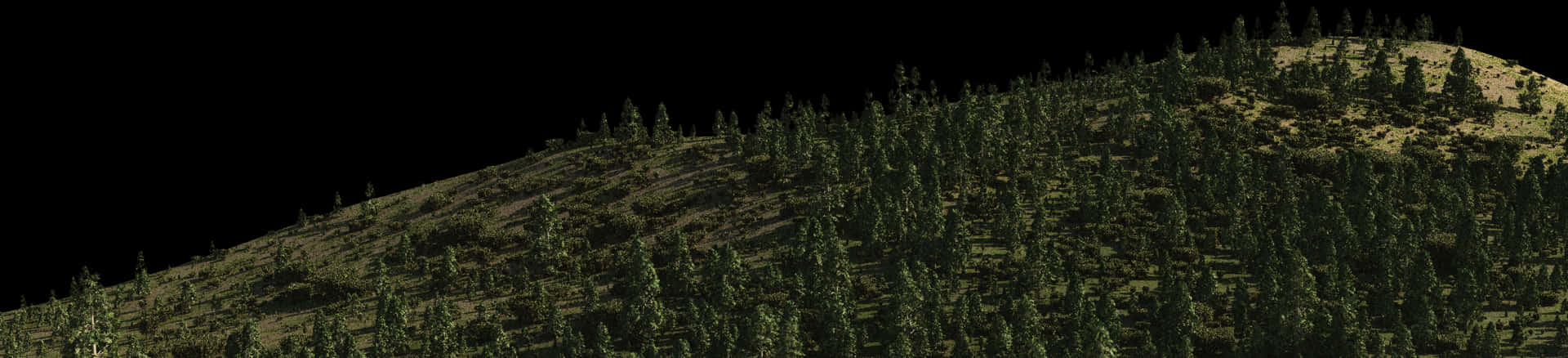 Moonlit_ Forest_ Mountain_ Panorama SVG