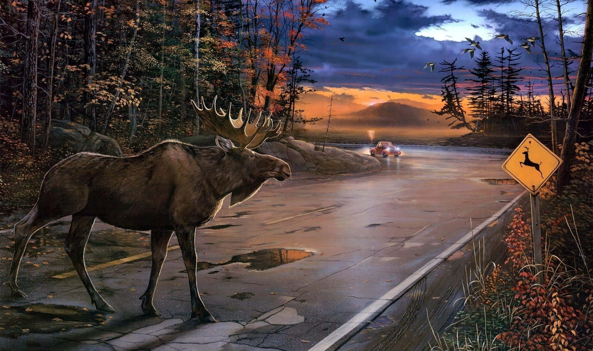 Moose_ Crossing_at_ Dusk Wallpaper