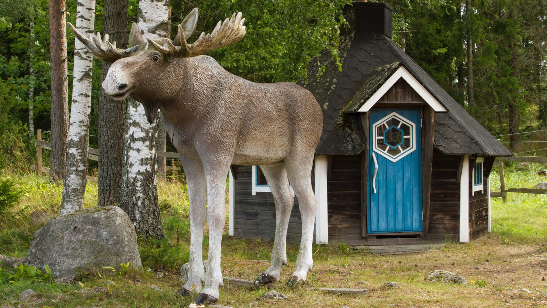 Moose Nextto Swedish Cottage.jpg Wallpaper