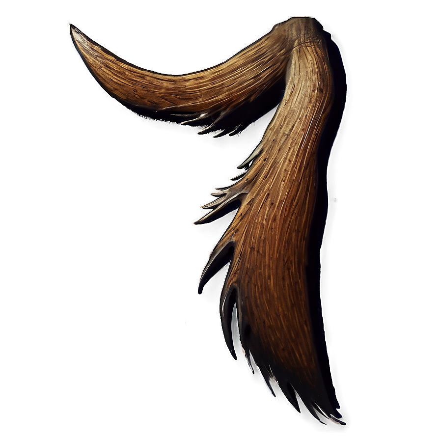 Moose Tail Png 06242024 PNG