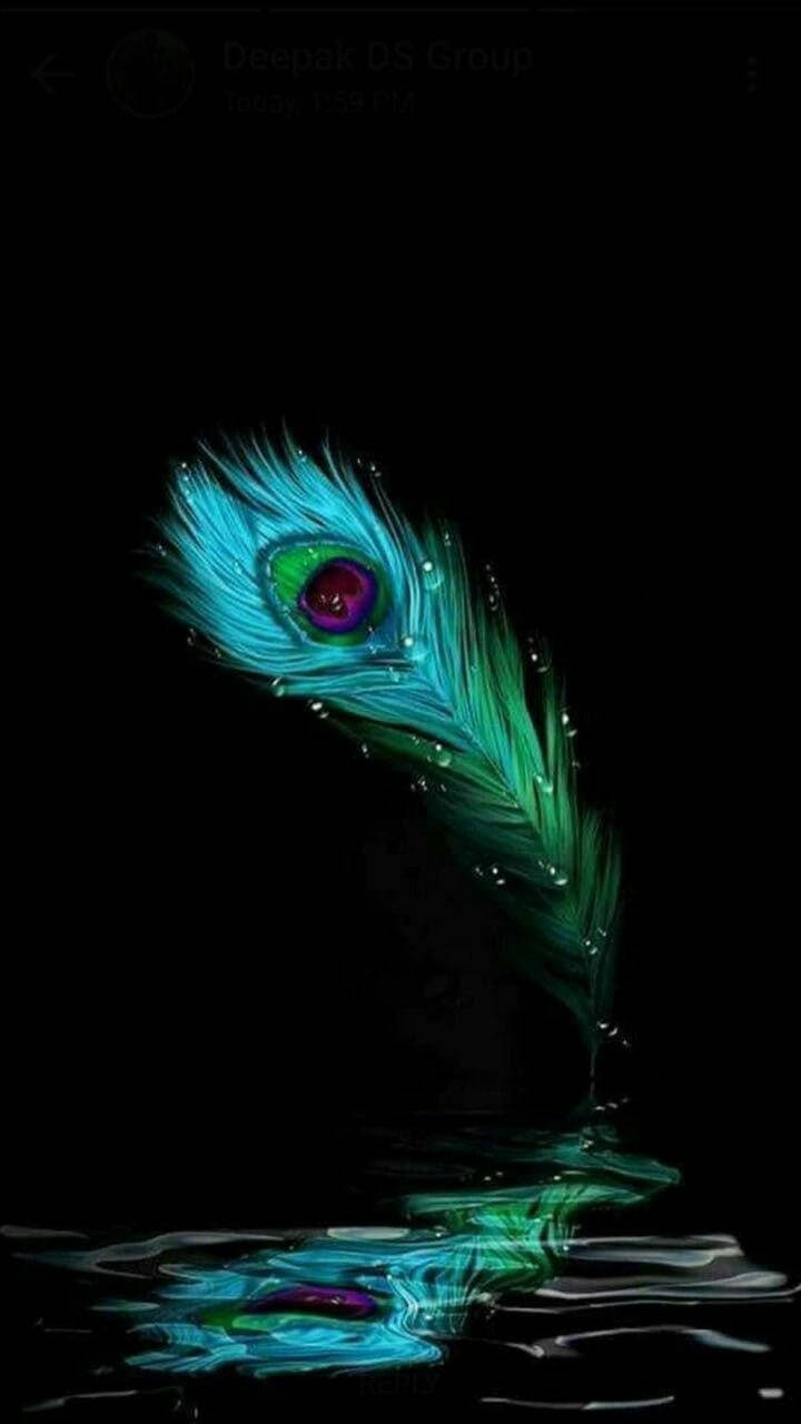 Elegant Peacock Feather Over Dark Background Wallpaper