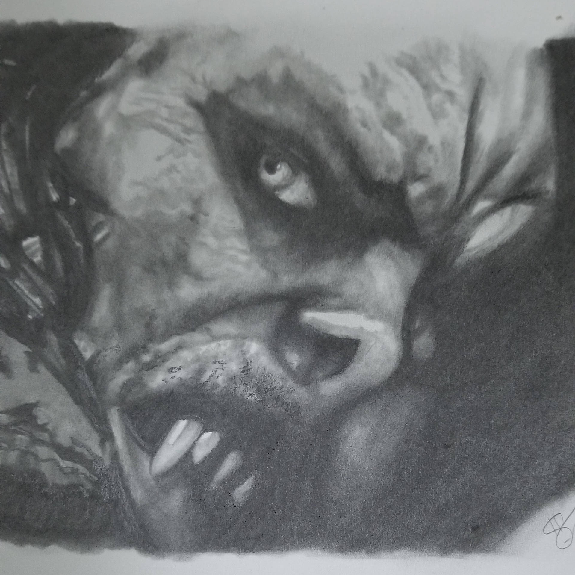 Morbius Face Drawing Wallpaper