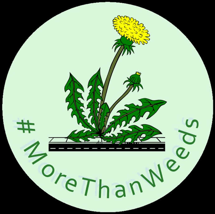 More Than Weeds_ Campaign_ Logo PNG