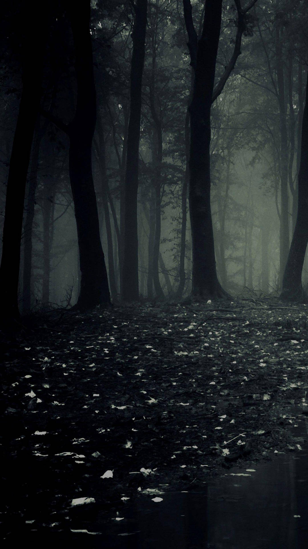 Mørk Telefon Scary Woods Wallpaper