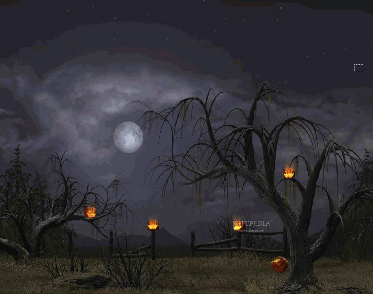 Mørke Halloween Tree Lanterner Wallpaper