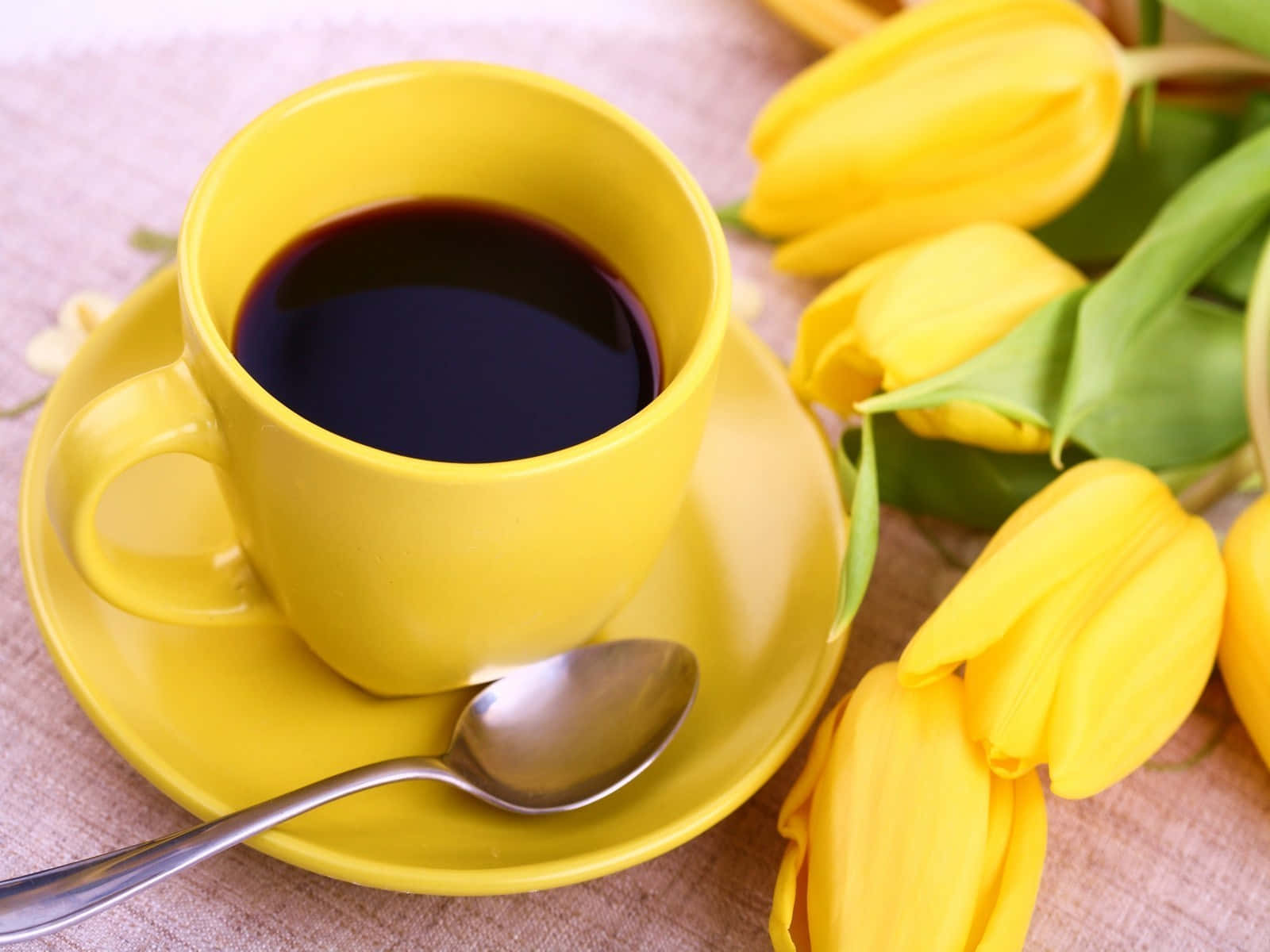 Enjoy a Morning Cuppa
