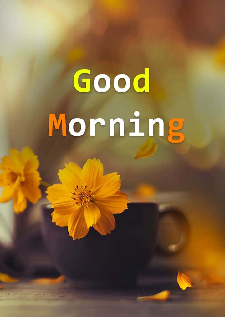 Morning Cup Yellow Flowers Wallpaper