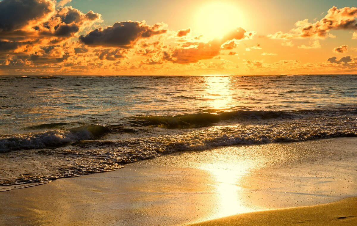 Morning Glory Amid Breathtaking Ocean Background