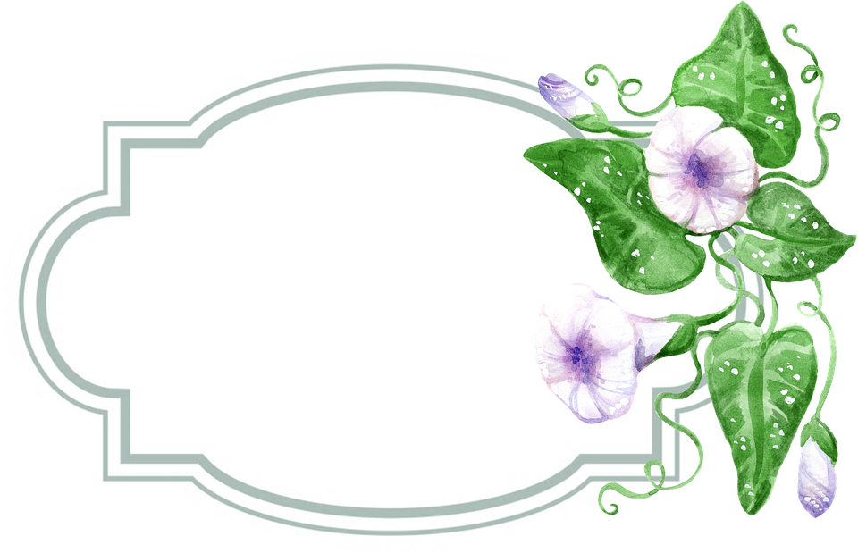Morning Glory Watercolor Frame PNG