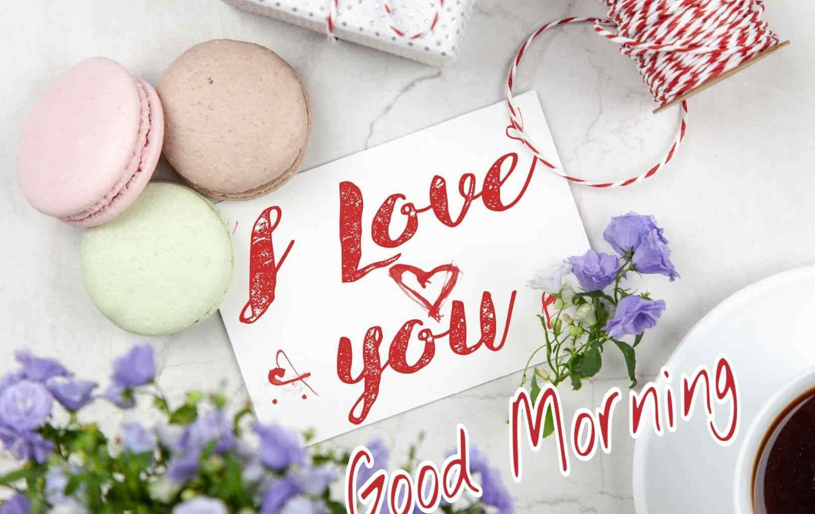 Morning I Love You French Macarons Wallpaper