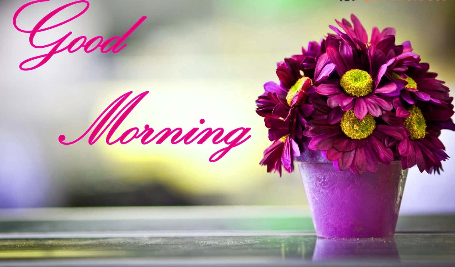 Morning Purple Flower Vase Wallpaper